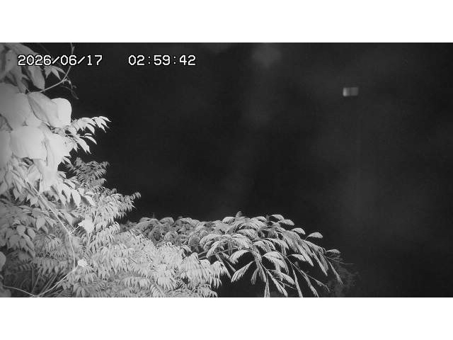 東郷ダム２（上流）2026/06/17 13:00:00