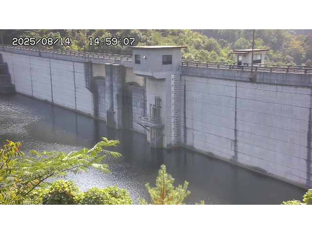 東郷ダム２（上流）2025/08/15 14:00:00