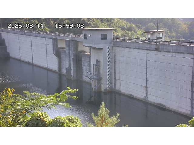 東郷ダム２（上流）2025/08/15 14:00:00