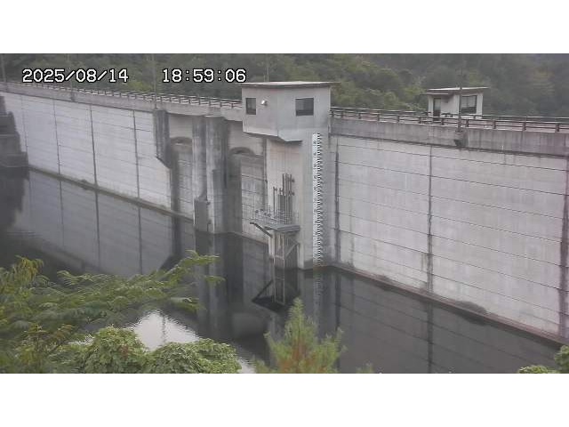 東郷ダム２（上流）2025/08/15 14:00:00