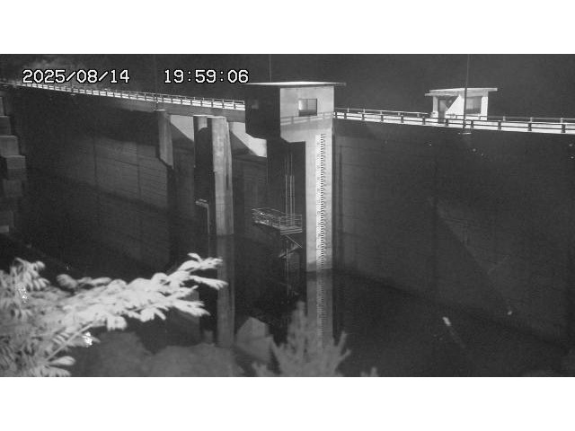 東郷ダム２（上流）2025/08/15 14:00:00