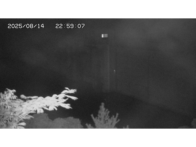 東郷ダム２（上流）2025/08/15 14:00:00