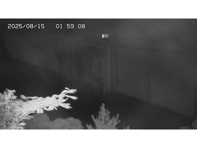 東郷ダム２（上流）2025/08/15 14:00:00