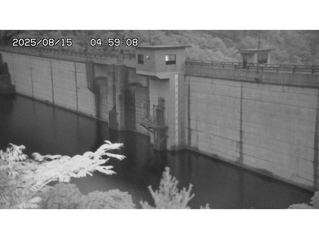 東郷ダム２（上流）2025/08/15 14:00:00