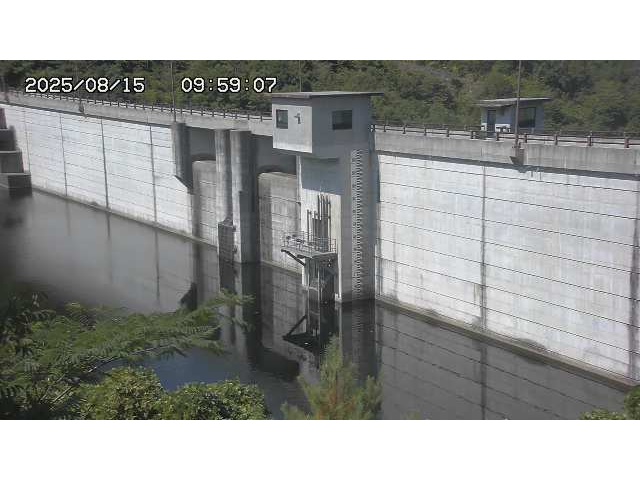 東郷ダム２（上流）2025/08/15 14:00:00