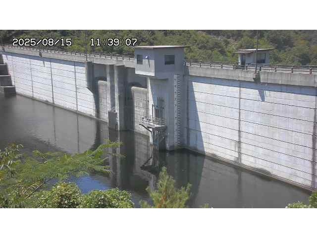 東郷ダム２（上流）2025/08/15 14:00:00
