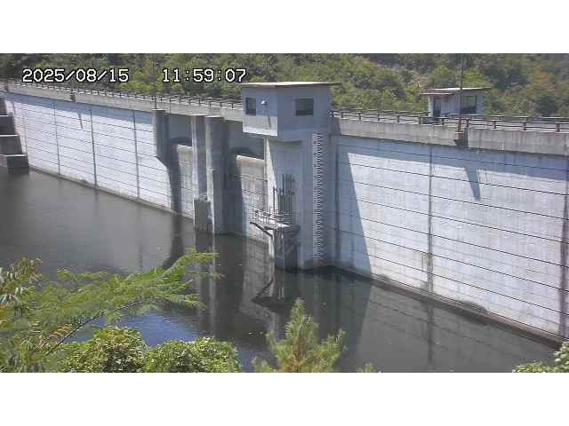 東郷ダム２（上流）2025/08/15 14:00:00