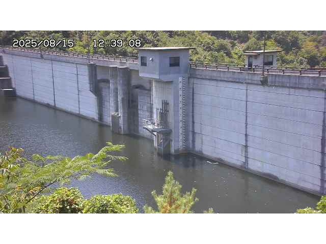 東郷ダム２（上流）2025/08/15 14:00:00