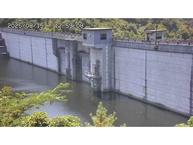 東郷ダム２（上流）2025/08/15 14:00:00