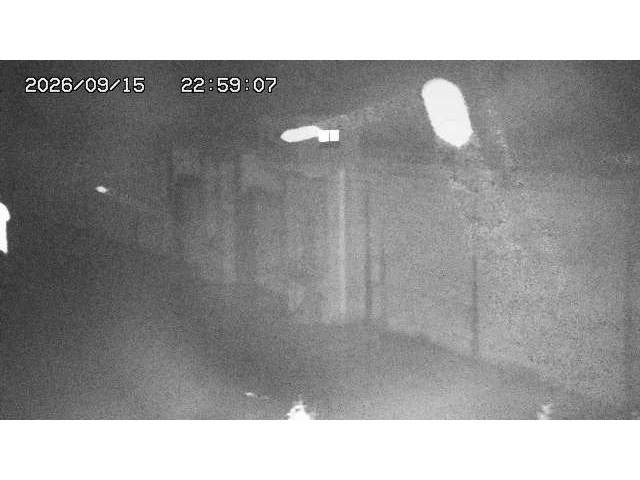東郷ダム２（上流）2026/09/16 17:20:00