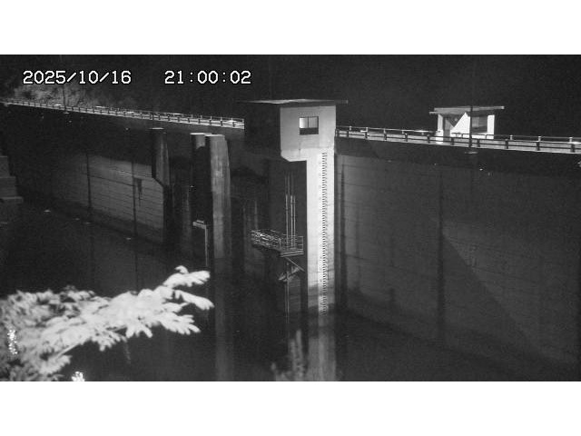 東郷ダム２（上流）2025/10/17 6:00:00