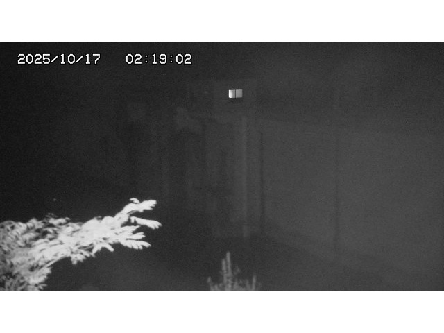 東郷ダム２（上流）2025/10/17 6:00:00