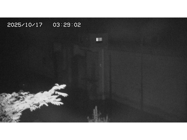 東郷ダム２（上流）2025/10/17 6:00:00