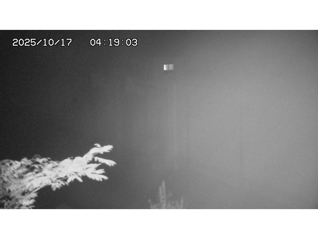 東郷ダム２（上流）2025/10/17 6:00:00