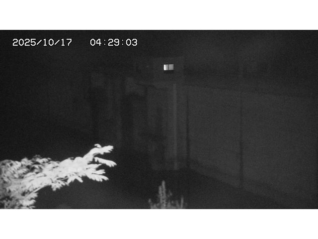 東郷ダム２（上流）2025/10/17 6:00:00