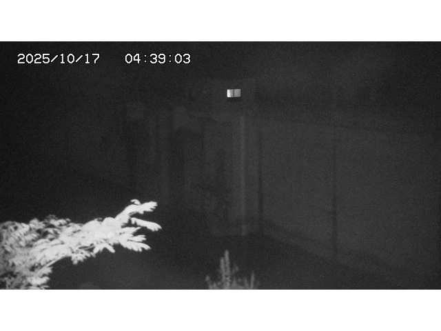 東郷ダム２（上流）2025/10/17 6:00:00