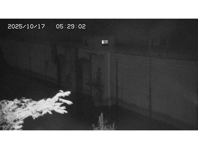東郷ダム２（上流）2025/10/17 6:00:00