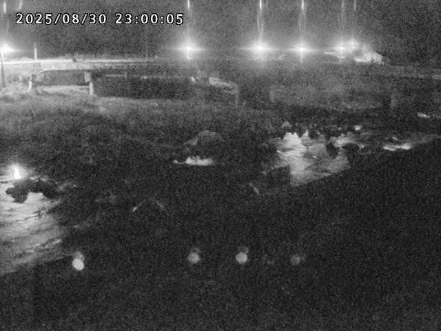 千代川１2025/08/31 9:10:00