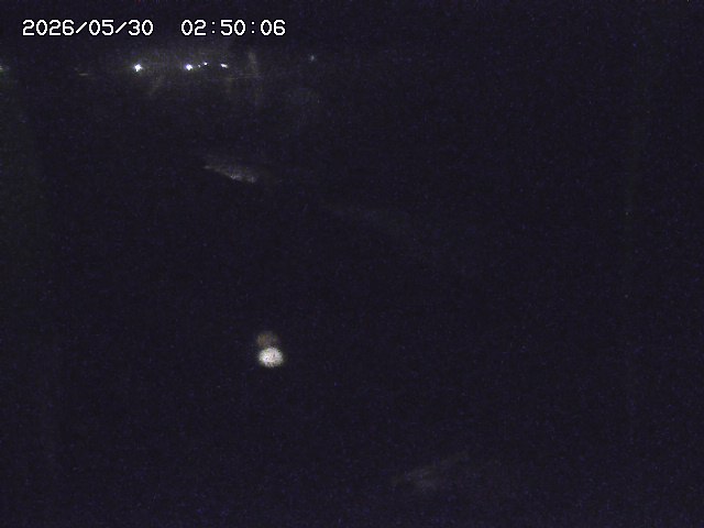 私都川２2026/05/30 3:30:00