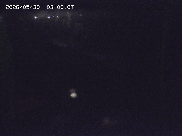 私都川２2026/05/30 3:30:00