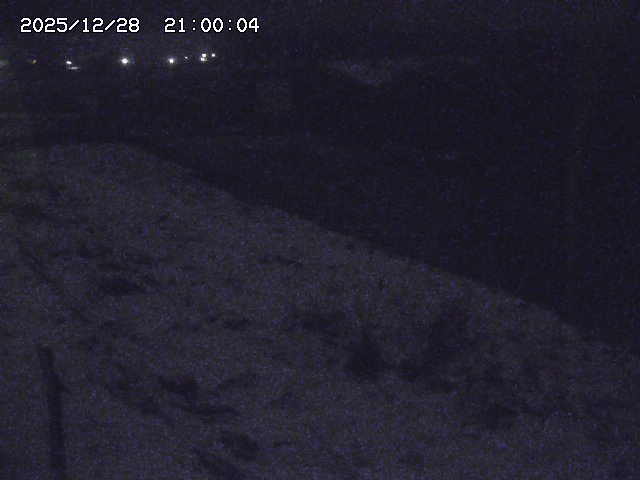 私都川２2025/12/29 9:50:00