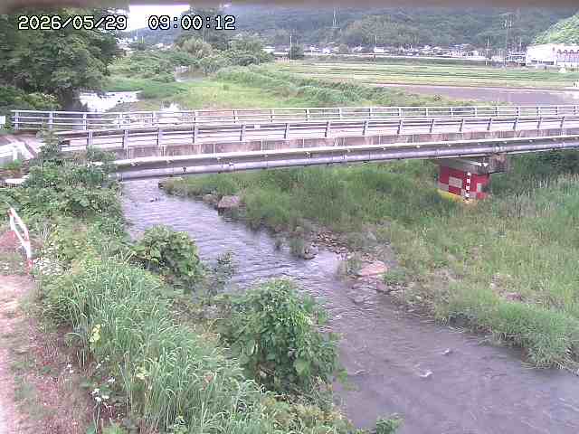 私都川５2026/05/30 3:30:00