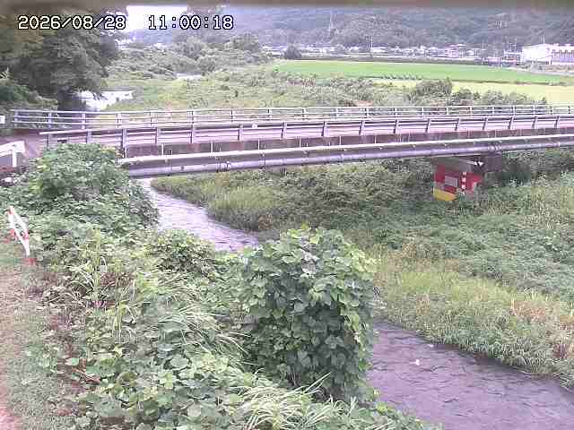 私都川５2026/08/28 17:00:00