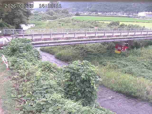 私都川５2026/08/28 17:00:00