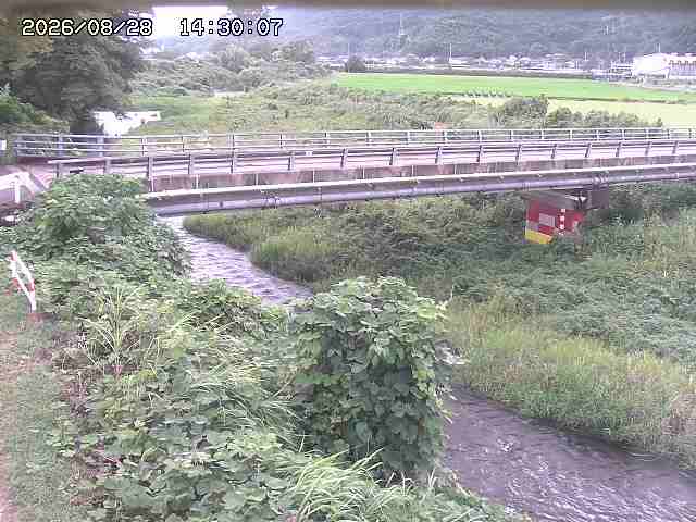 私都川５2026/08/28 17:00:00