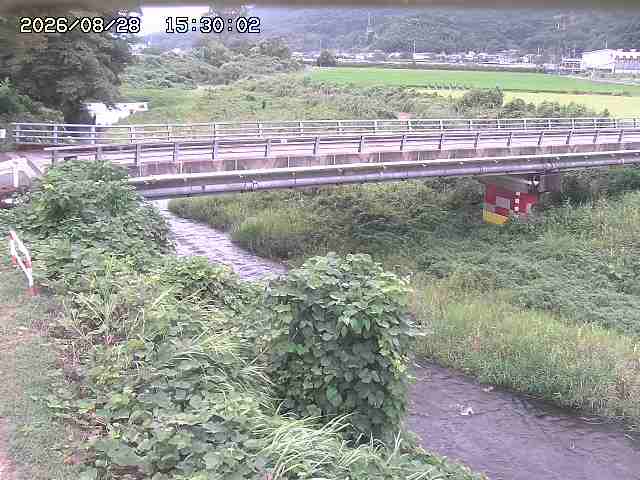 私都川５2026/08/28 17:00:00