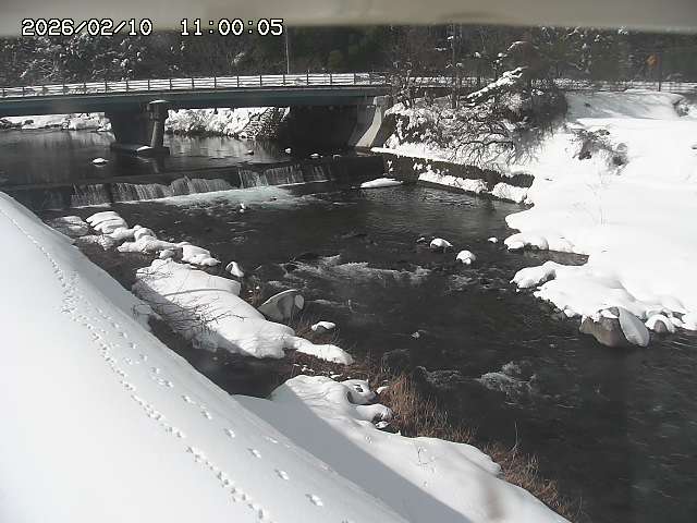 八東川８2026/02/11 4:10:00