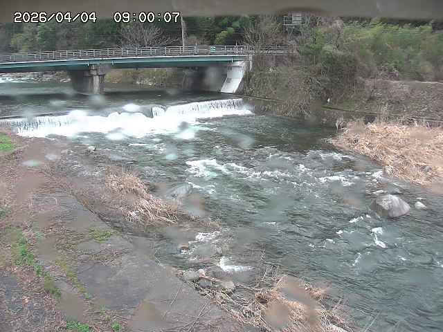 八東川８2026/04/05 3:30:00