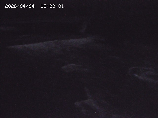 八東川８2026/04/05 3:30:00