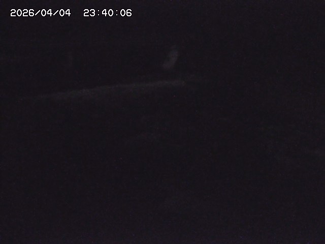 八東川８2026/04/05 3:30:00