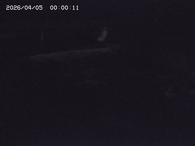 八東川８2026/04/05 3:30:00