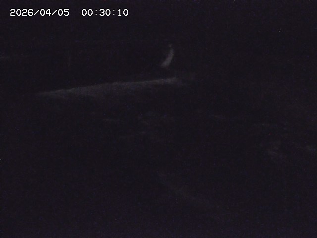 八東川８2026/04/05 3:30:00