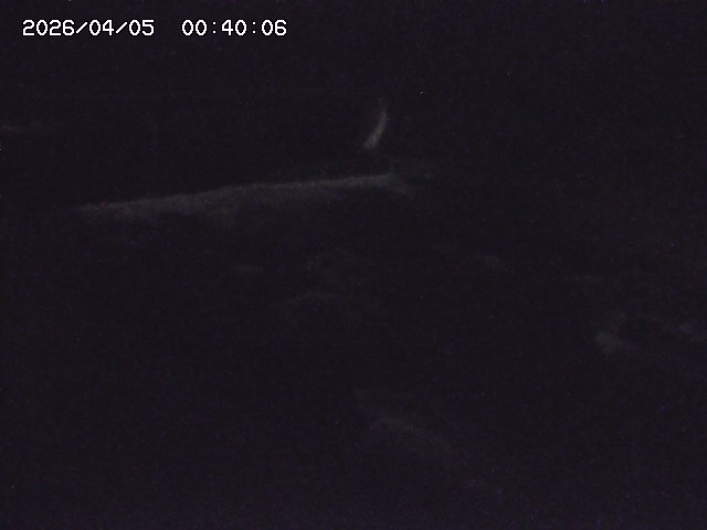 八東川８2026/04/05 3:30:00