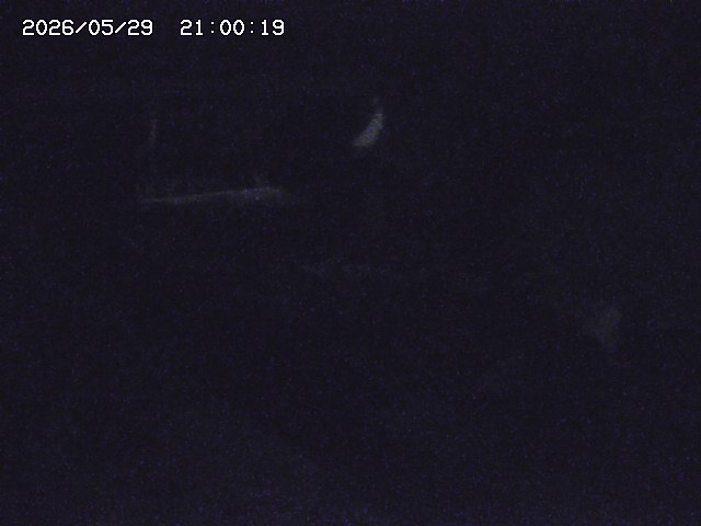 八東川８2026/05/30 3:30:00