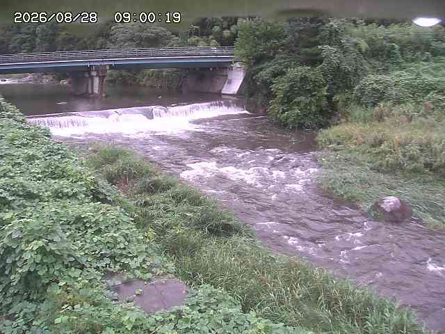 八東川８2026/08/28 17:00:00