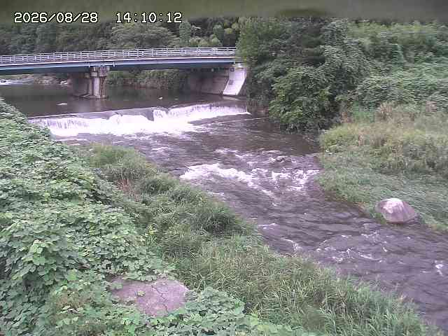 八東川８2026/08/28 17:00:00