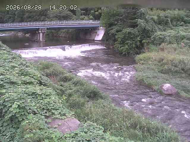 八東川８2026/08/28 17:00:00