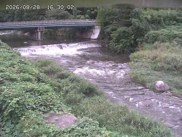 八東川８2026/08/28 17:00:00
