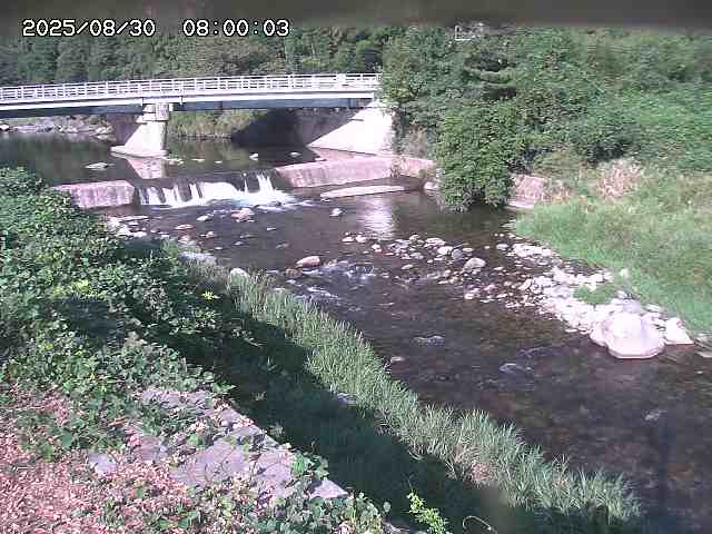 八東川８2025/08/31 0:50:00
