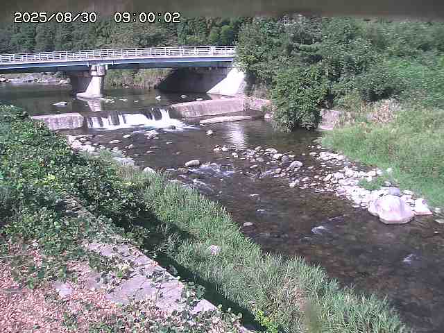 八東川８2025/08/31 0:50:00