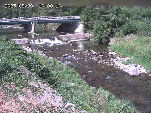 八東川８2025/08/31 0:50:00