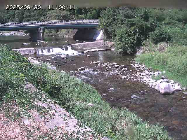 八東川８2025/08/31 0:50:00
