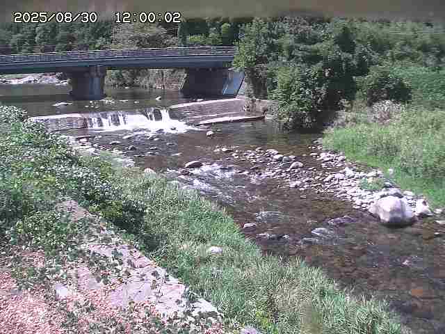 八東川８2025/08/31 0:50:00