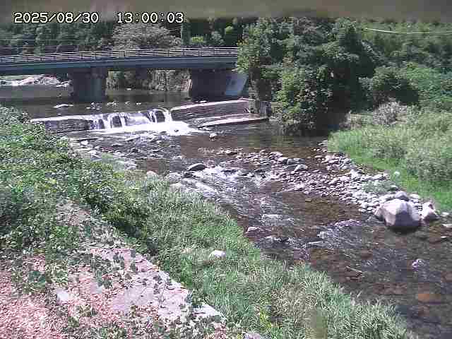 八東川８2025/08/31 0:50:00