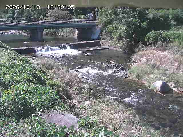 八東川８2026/10/13 14:30:00