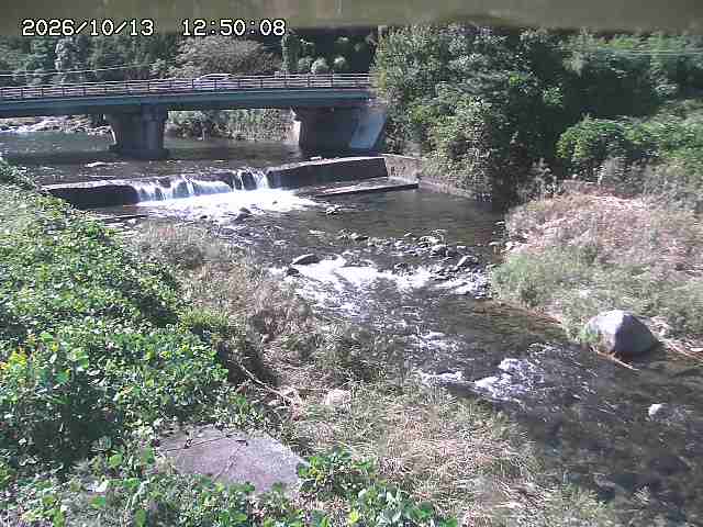 八東川８2026/10/13 14:30:00